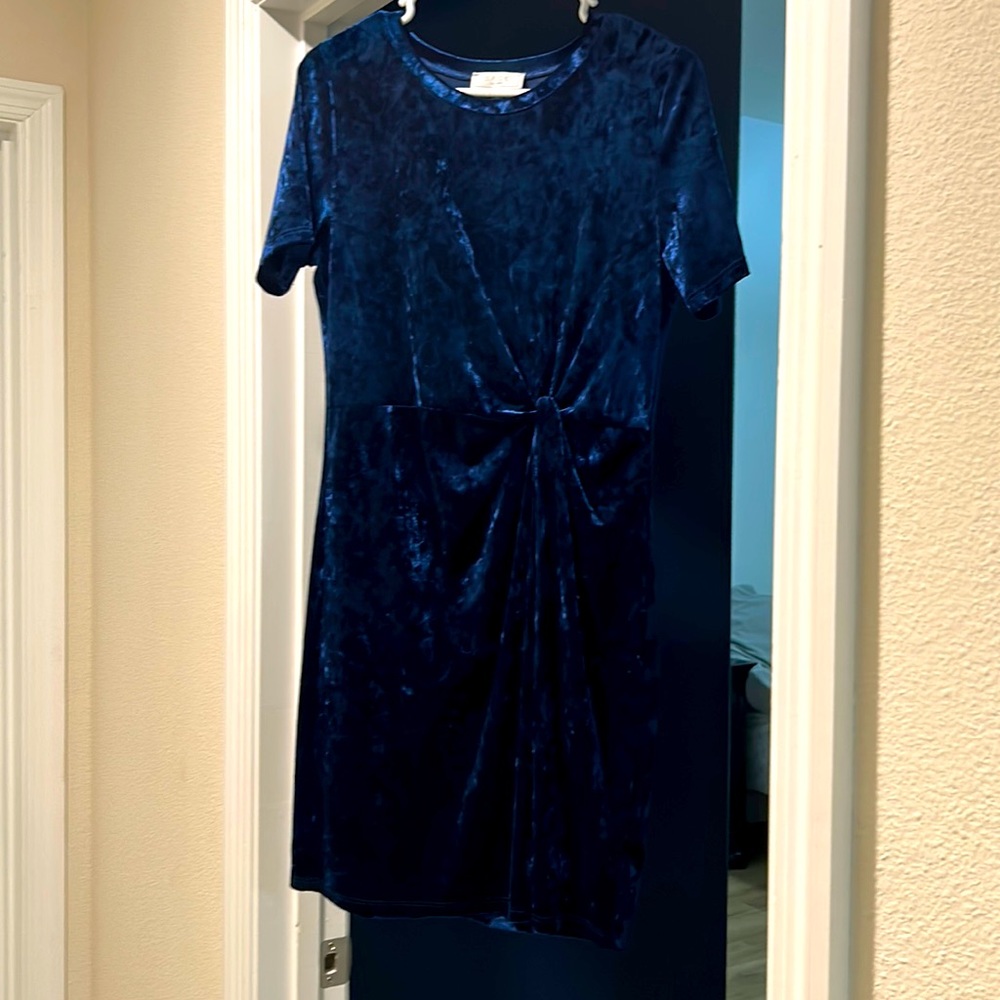 Navy dress Sage the label size Large